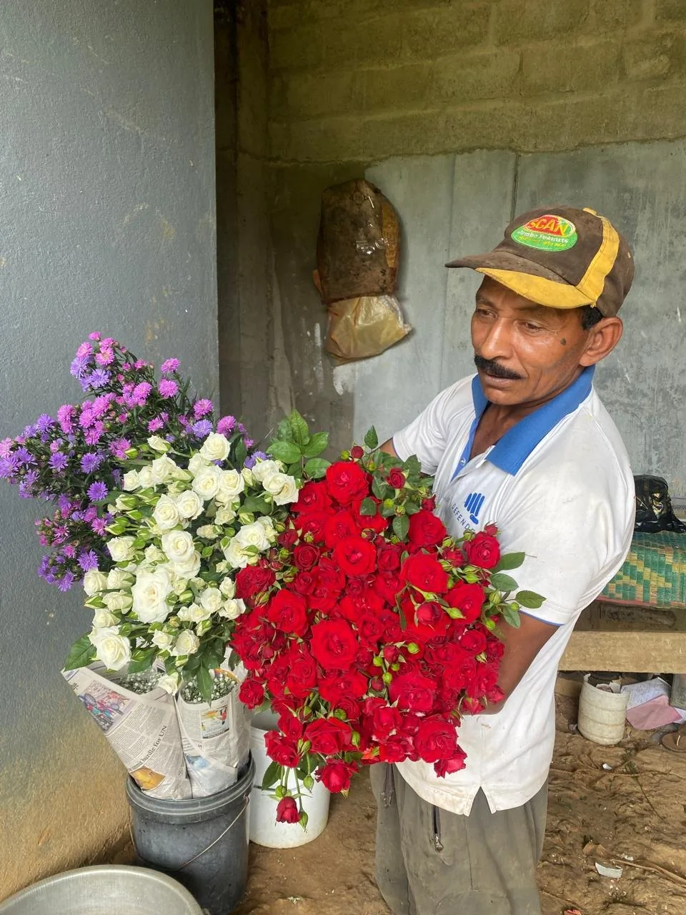 White roses and purple seasonal flowers sorted at the estate